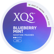XQS Blueberry Mint 4MG