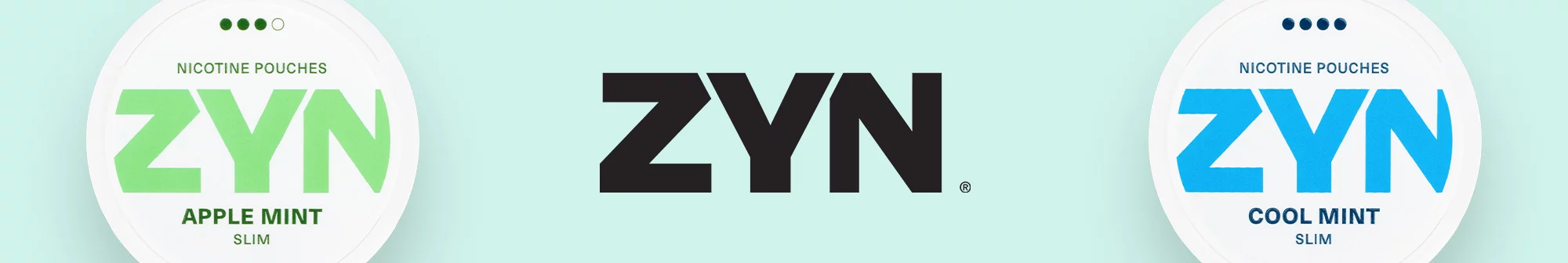 Zyn Zyn