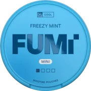 FUMi Freezy Mint Regular Mini