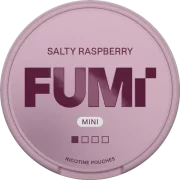 FUMi Salty Raspberry Regular Mini